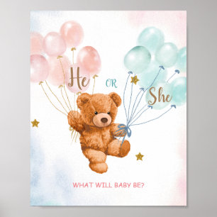 Bear He or She Pink and Blue Balloon Welcome Sign