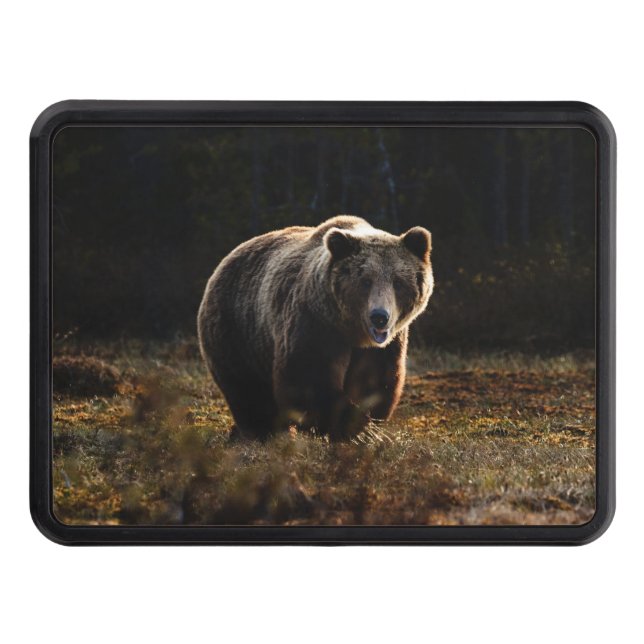 Bear Hitch Cover (Front)