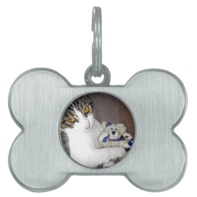 Bear Hug Pet Tag (Front)