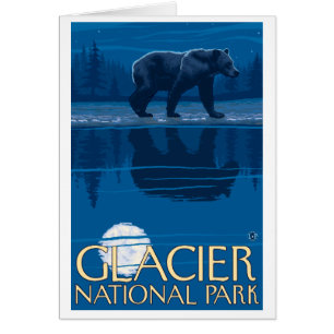 Bear in Moonlight - Glacier National Park, MT