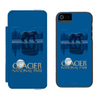 Bear in Moonlight - Glacier National Park, MT