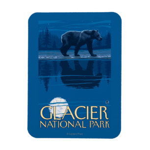 Bear in Moonlight - Glacier National Park, MT Magnet