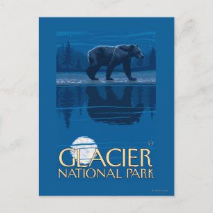 Bear in Moonlight - Glacier National Park, MT Postcard