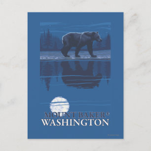 Bear in Moonlight - Mount Baker, Washington Postcard