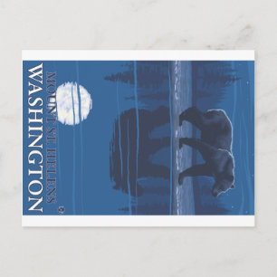 Bear in Moonlight - Mount St. Helens, Washington Postcard