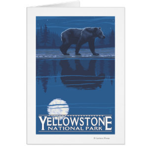 Bear in Moonlight - Yellowstone National Park
