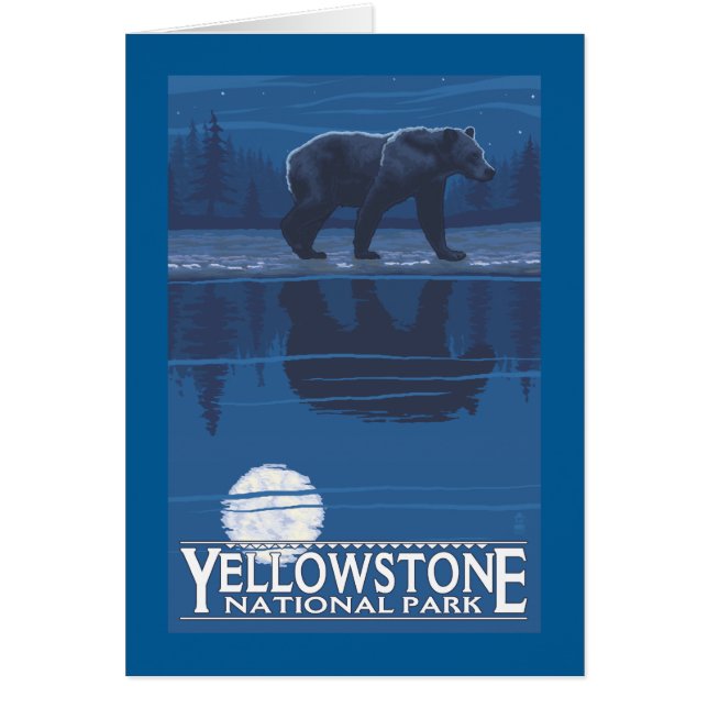Bear in Moonlight - Yellowstone National Park (Front)