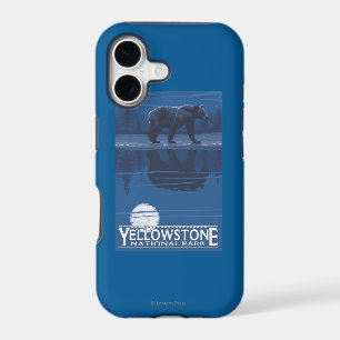 Bear in Moonlight - Yellowstone National Park