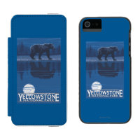 Bear in Moonlight - Yellowstone National Park