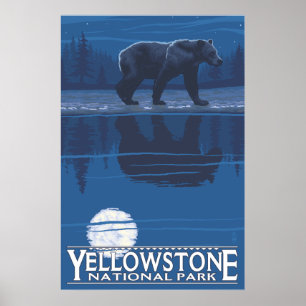 Bear in Moonlight - Yellowstone National Park Poster