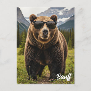 Bear in Sunglasses Banff National Park Canada Postcard