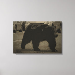 Bear in the Road Yellowstone National Park WY Canvas Print