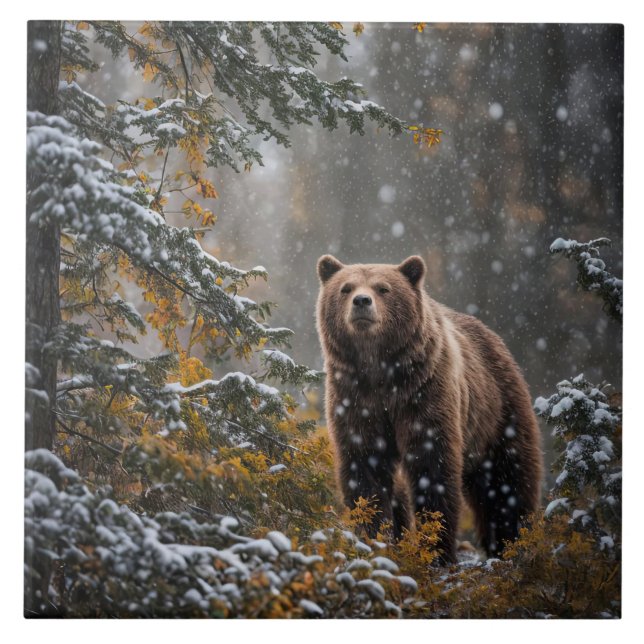 Bear in the Wilderness Winter Snow Tile (Front)