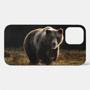 Bear iPhone 12 Case