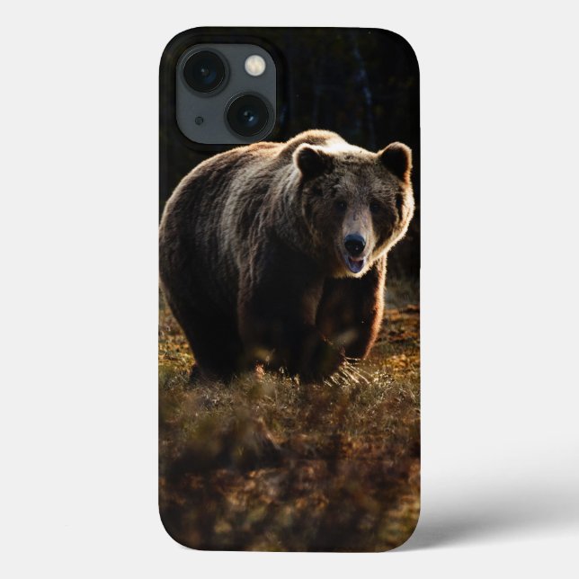 Bear iPhone 13 Case (Back)