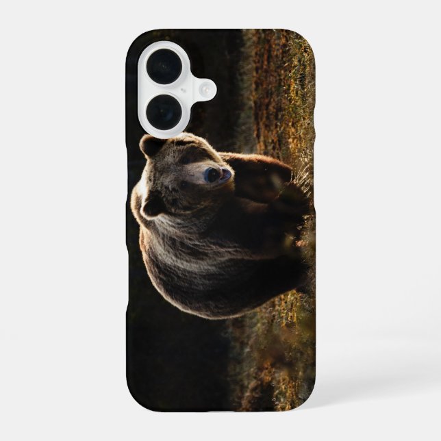 Bear iPhone 16 Case (Back)