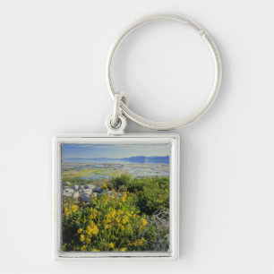 BEAR LAKE, UT, US, monkey-flower & tumbleweed, Keychain