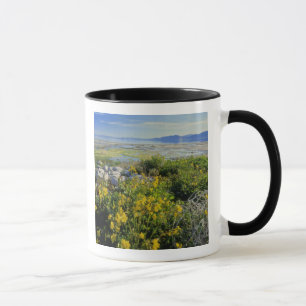 BEAR LAKE, UT, US, monkey-flower & tumbleweed, Mug
