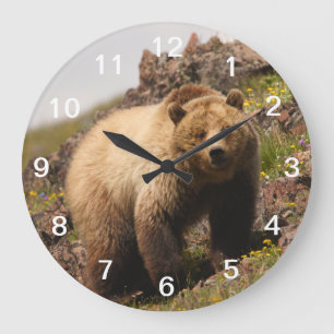 bear large clock
