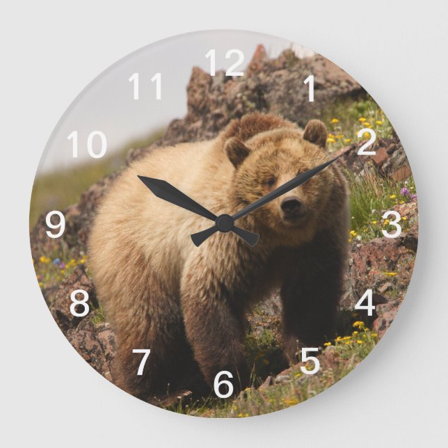 bear large clock (Front)
