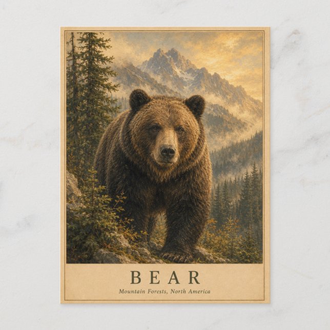 Bear Mountain Forests VINTAGE Postcard (Front)