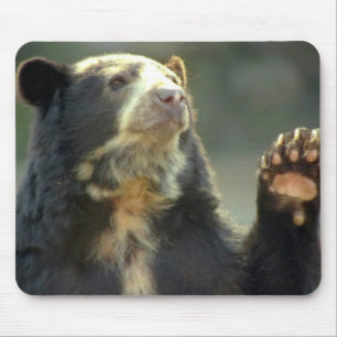 bear mouse pad