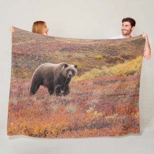 Bear Moves Denali National Park, Alaska in Fall Fleece Blanket