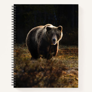 Bear Notebook