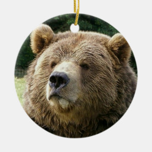 Bear Ornament