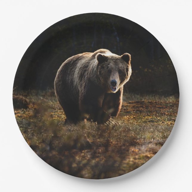Bear Paper Plate (Front)