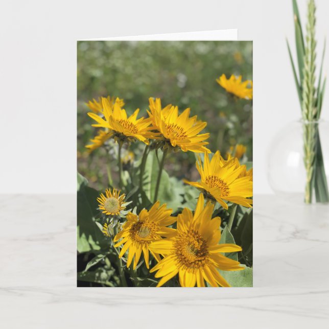 Bear Paw Mountains Card (Front)