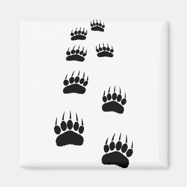 Bear Paw Prints Magnet (Front)