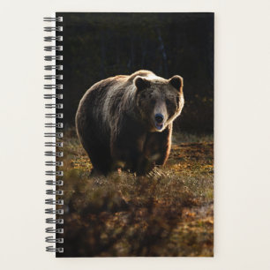 Bear Planner