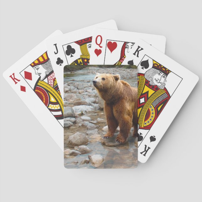 Bear Playing Cards (Back)