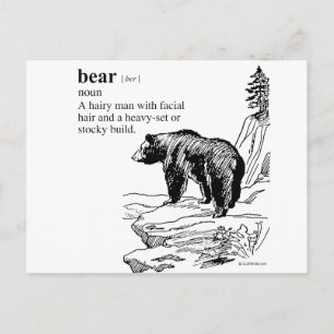 BEAR POSTCARD