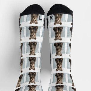 Bear Socks
