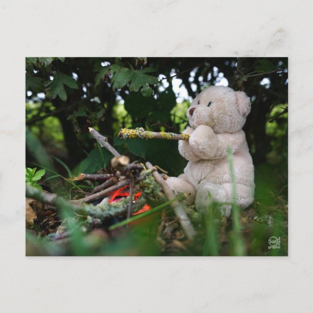 Bear that's on campfire. postcard (Front)