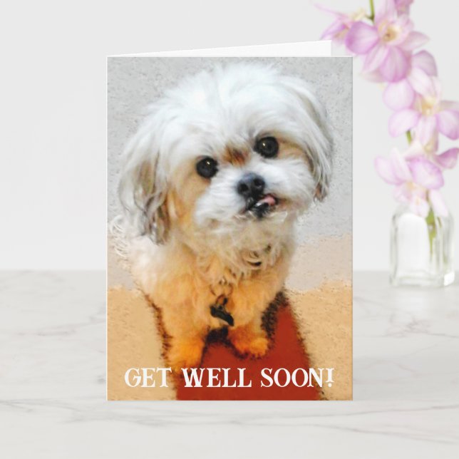 Bear the Malshi Get Well Card (Orchid)