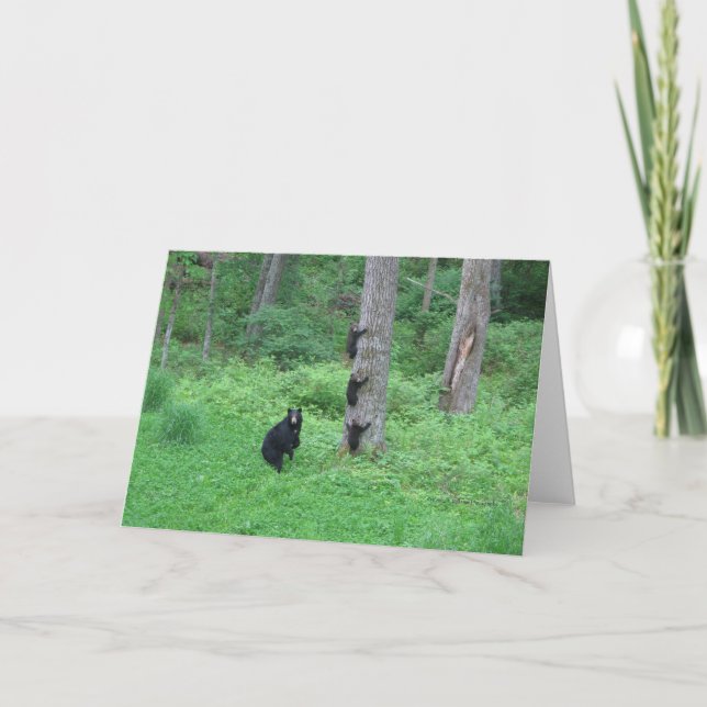 Bear & Three Cubs - Cards - Reitzner (Front)