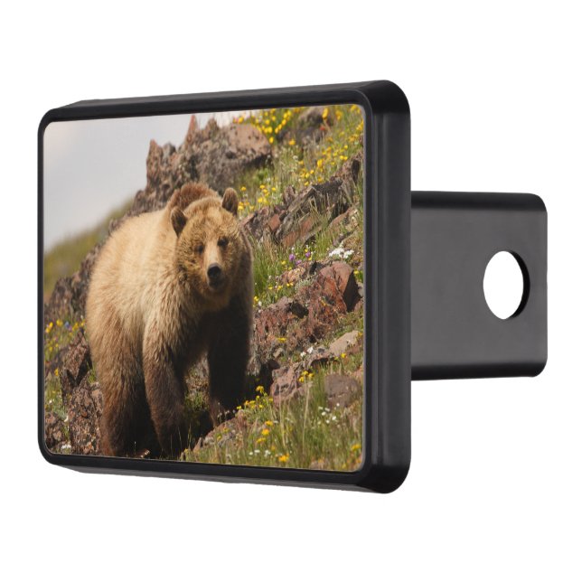 bear trailer hitch cover (Left)