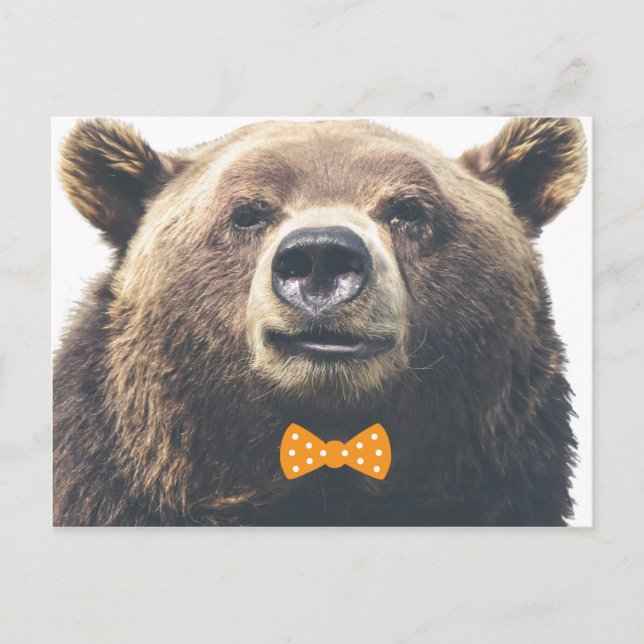 Bear with bow postcard (Front)