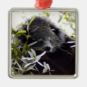 Bearcat Christmas Ornament
