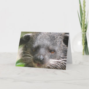 Bearcat Greeting Card