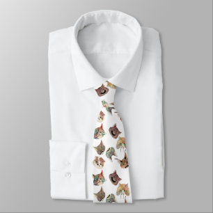 Beard cat/gateto barba tie