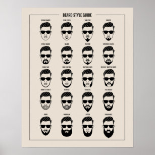 beard style guide poster
