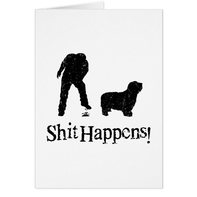 Bearded Collie (Front)