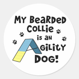 Bearded Collie Agility Dog Classic Round Sticker