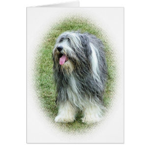 bearded collie Card