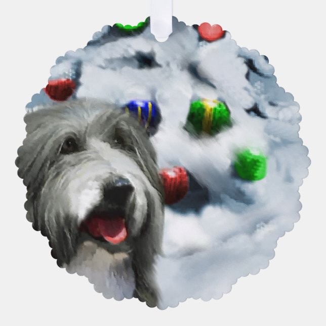 Bearded Collie Christmas Gifts Ornament Card (Front)