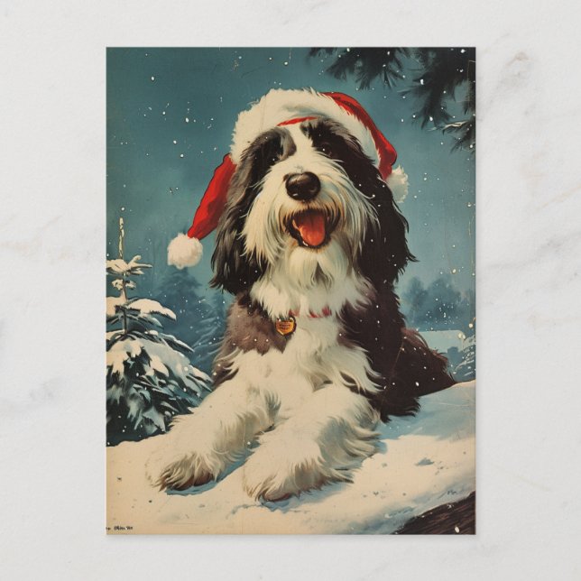 Bearded Collie Christmas  Postcard (Front)